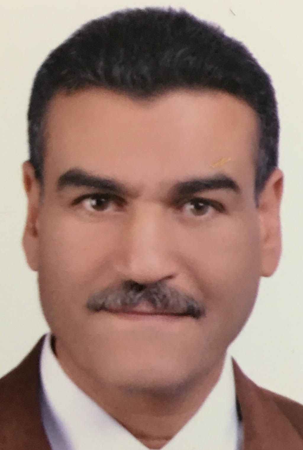 Tarek Mohamed Mustafa Heikal