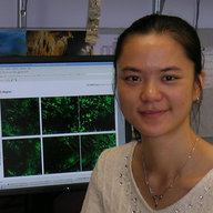 Dr. Pei Sabrina Xu