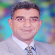 Prof. Adel A. Elbaset Mohammed