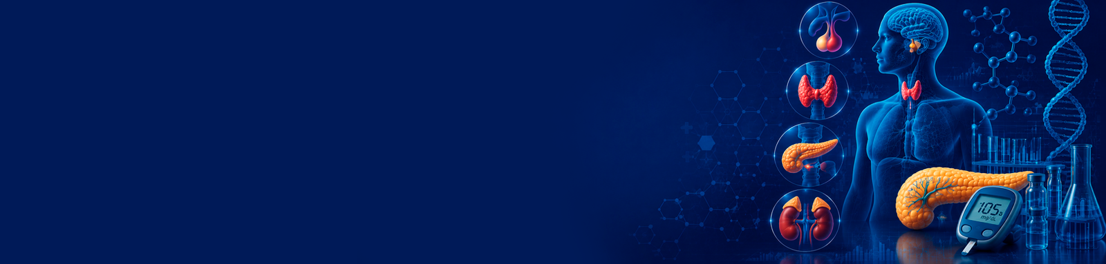 American Research Journal of Endocrinology      banner