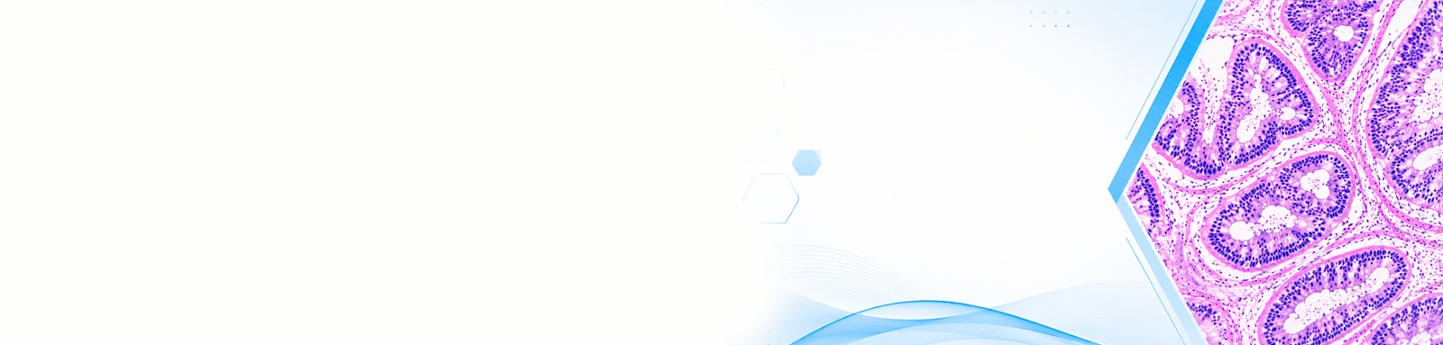 American Research Journal of Pathology      banner