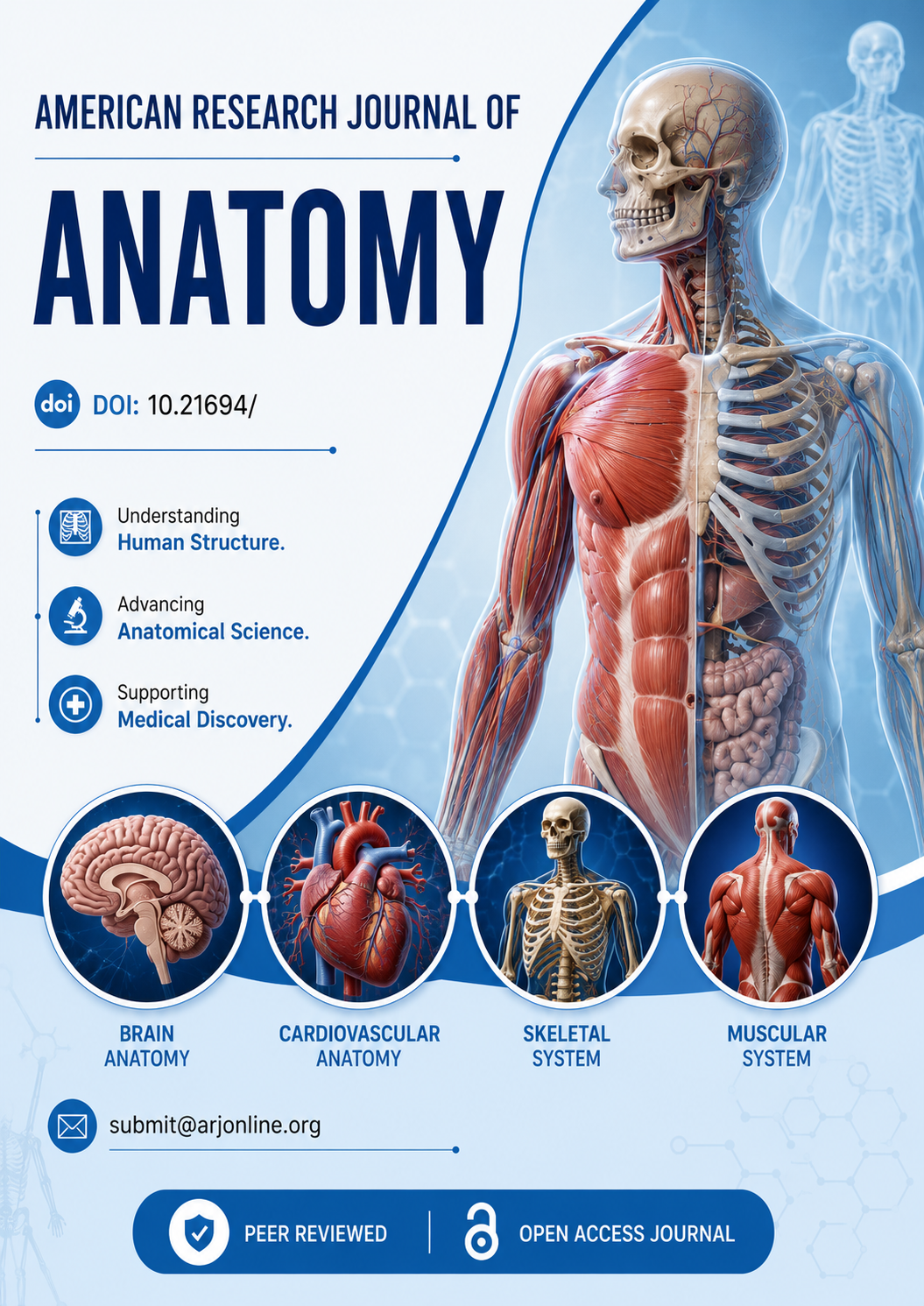 Anatomy